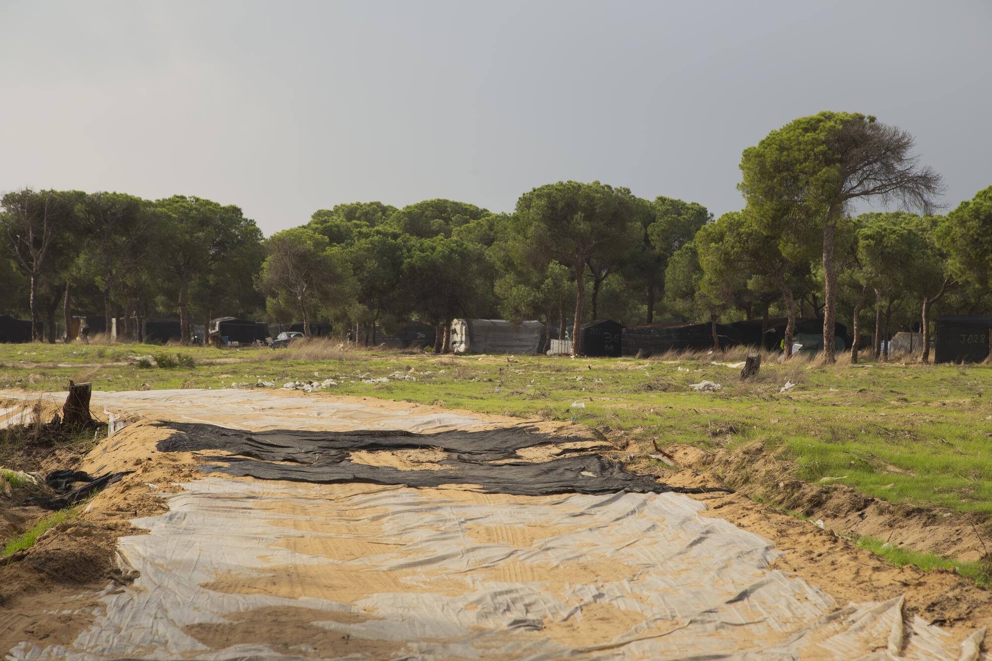 Asentamiento Huelva 2025-2